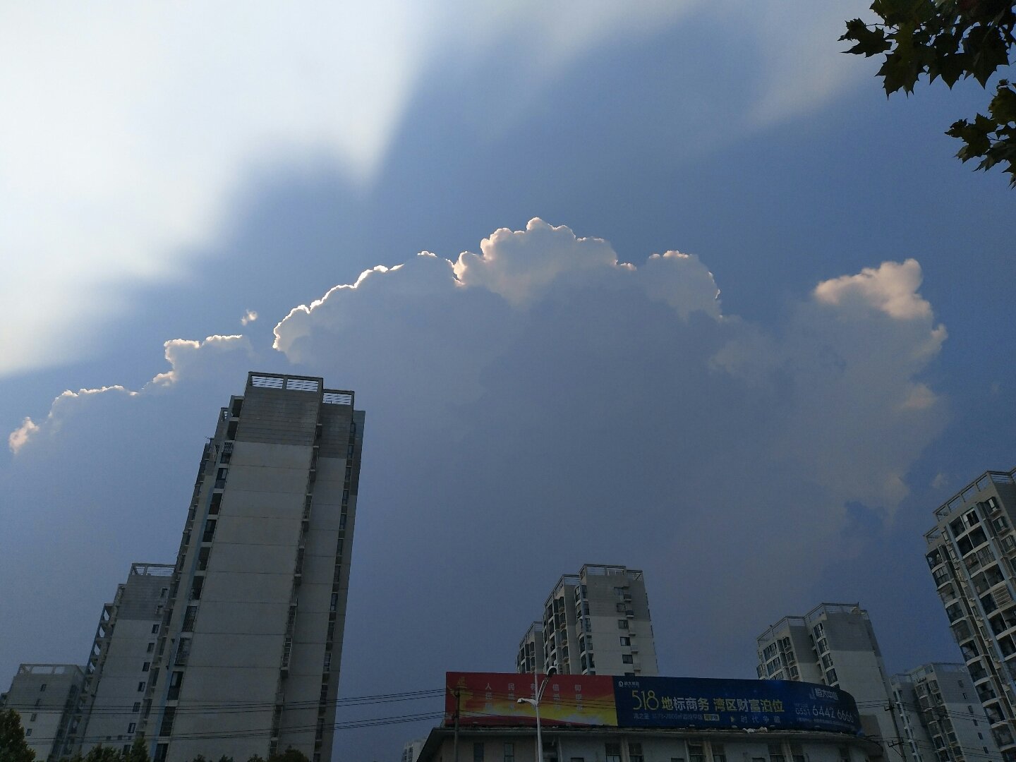 烟墩乡天气预报更新通知