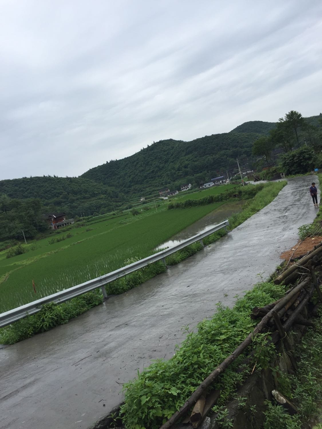 上江乡建塘镇的天气预报更新通知