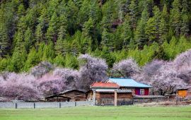 米林村天气预报更新通知