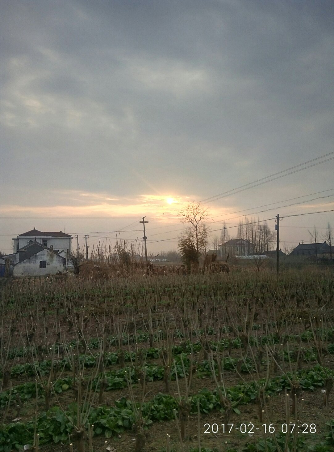 柘皋镇天气预报更新通知