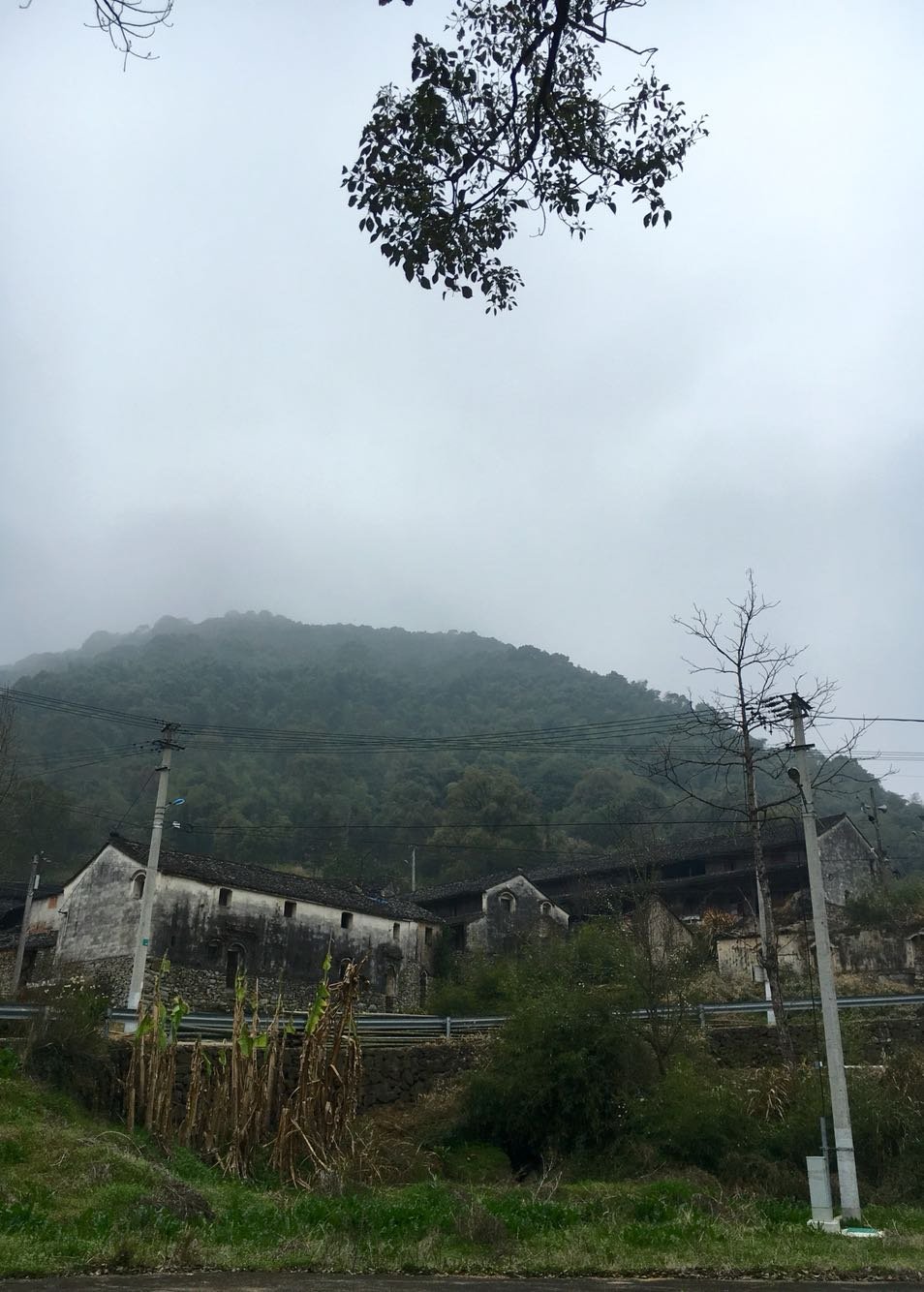 银岭村天气预报更新通知