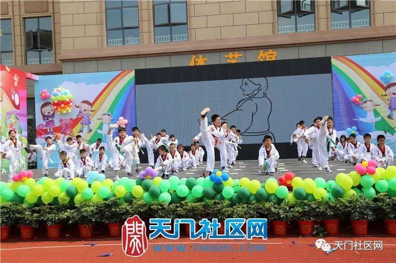 天门市小学最新项目，探索教育新境界，培育未来领袖之星