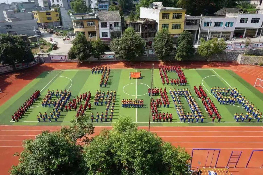 沿河土家族自治县小学招聘概况及教育发展趋势解析