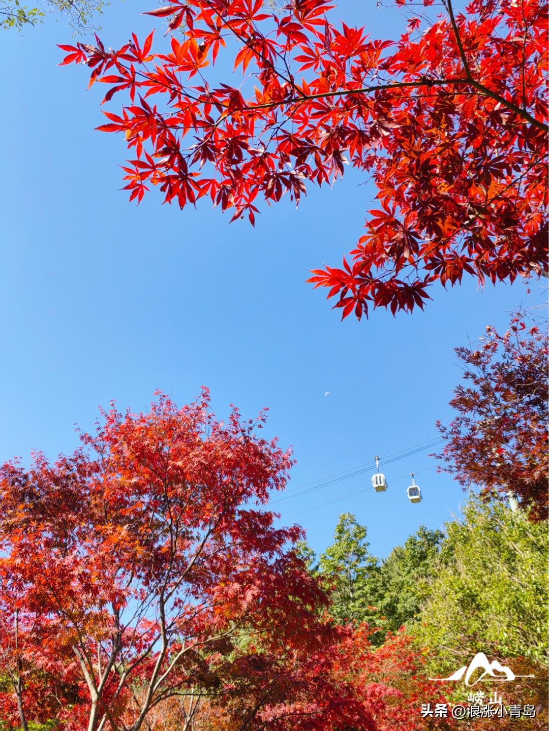 万山乡天气预报更新通知