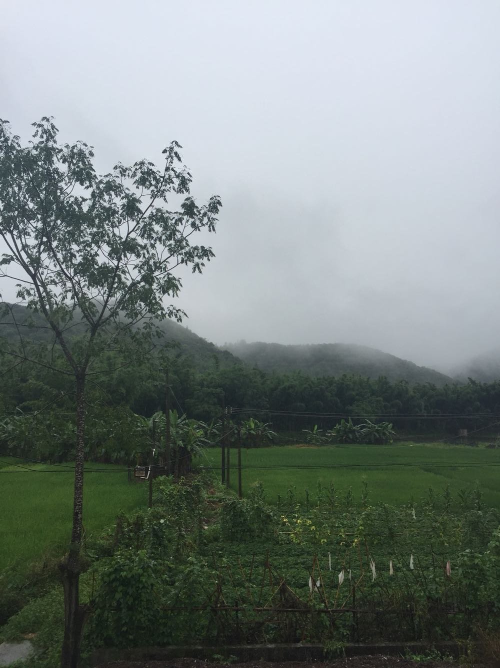 布塔村今日天气预报