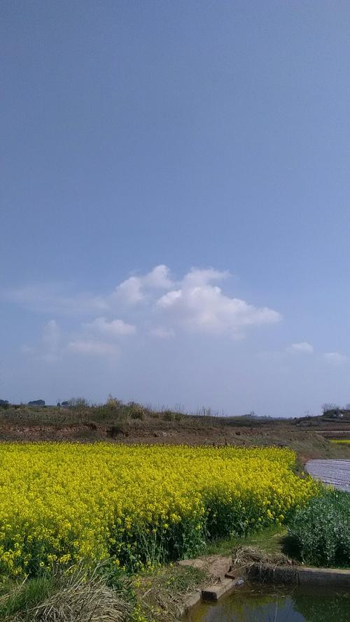 袁花镇天气预报更新通知