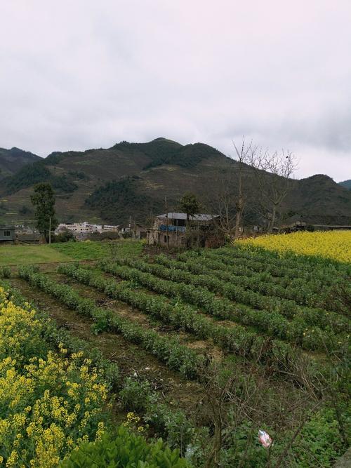 芹洋乡天气预报更新通知