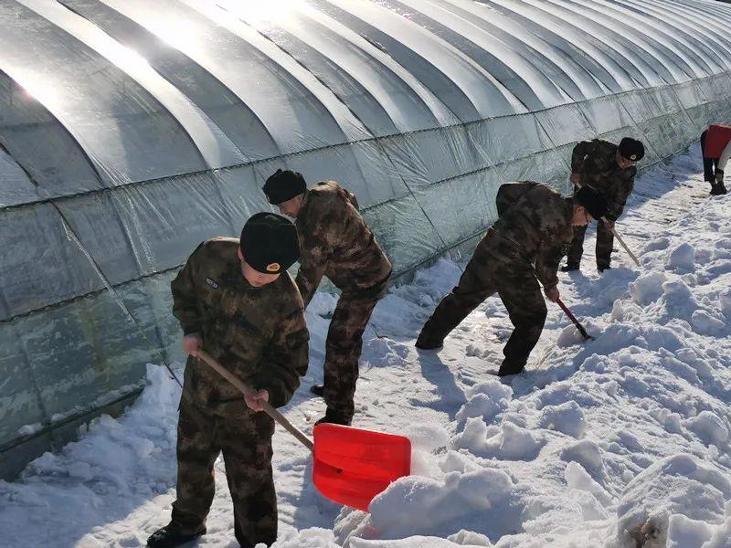 青龙山林场最新天气预报