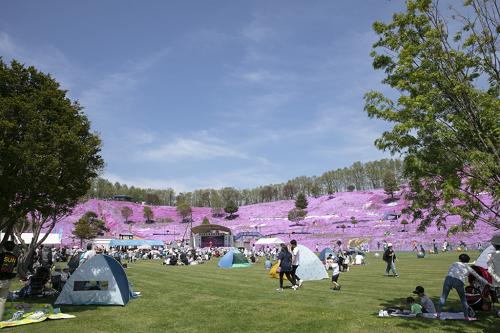 斜坡村民委员会天气预报更新通知