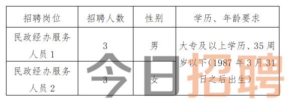 永嘉县财政局最新招聘启事概览