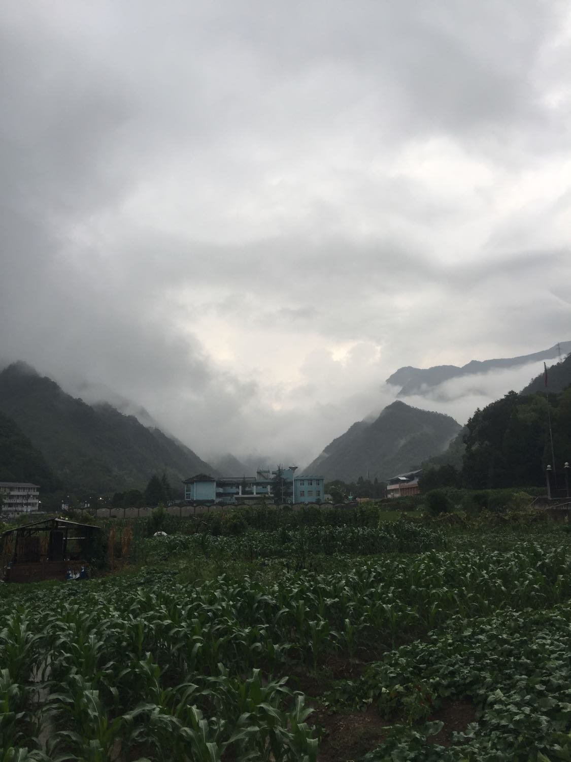 水磨村天气预报更新通知