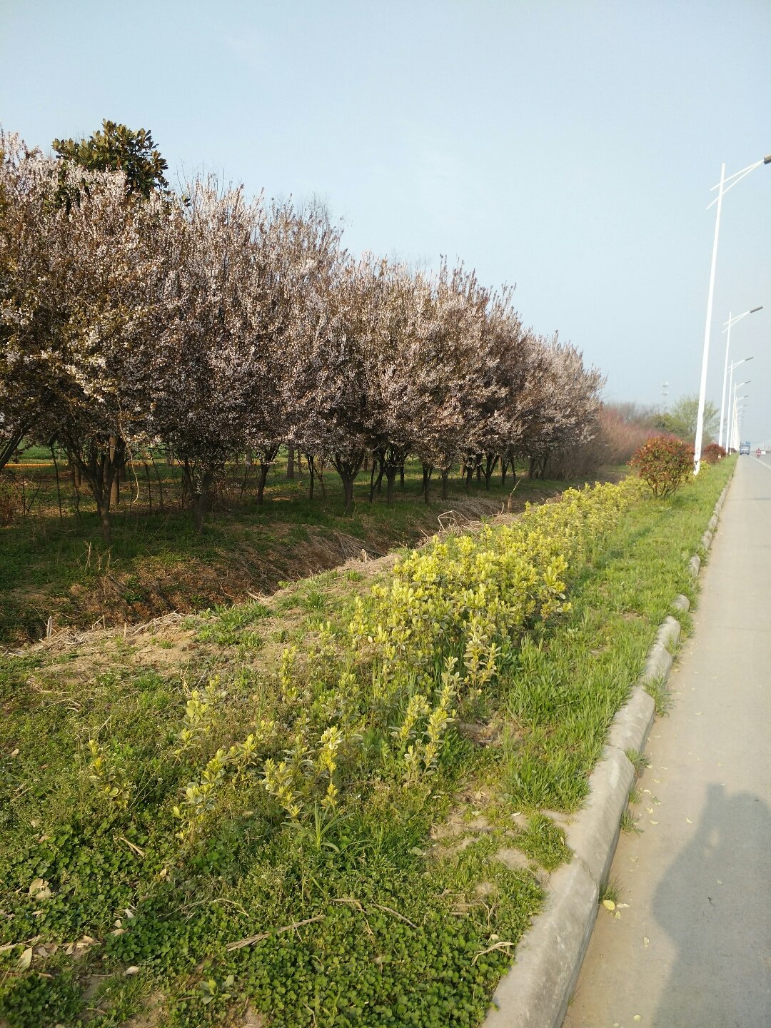 双沟镇天气预报更新通知