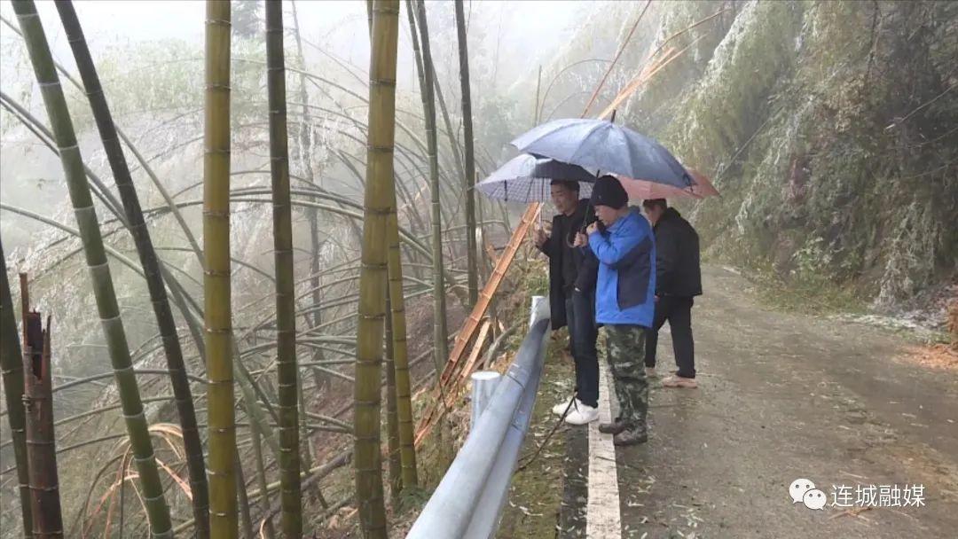 甲竹林镇天气预报更新通知