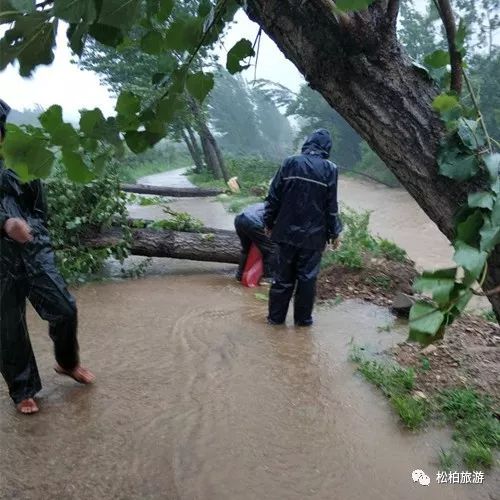 柏树村天气预报更新通知