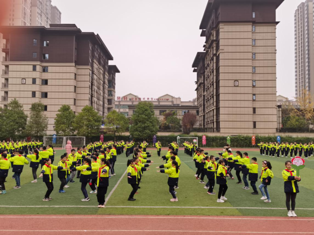 蒸湘区小学最新项目，开启现代教育新篇章探索