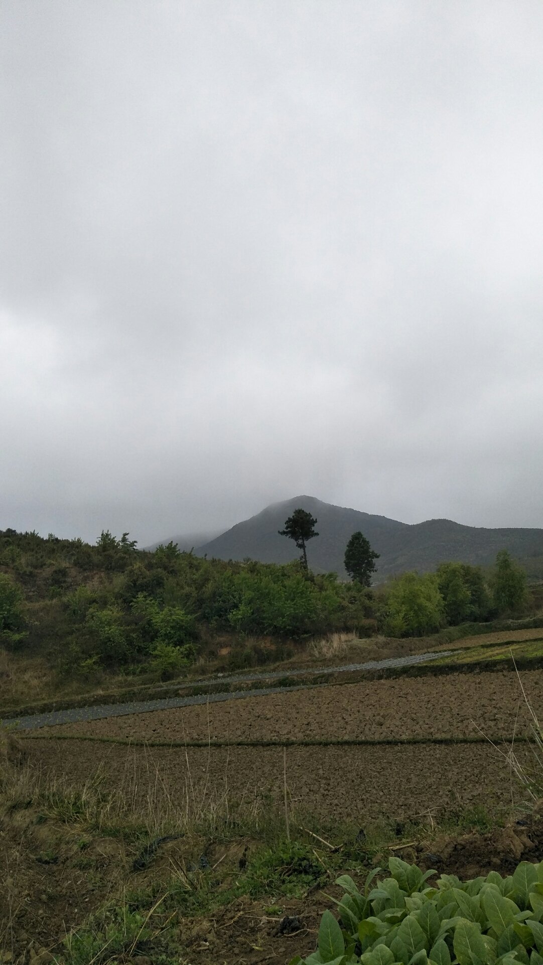 马蹄滩村天气预报更新通知