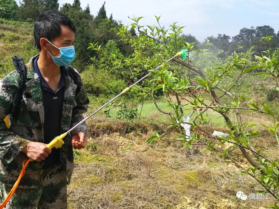 中河乡发展规划揭秘，打造繁荣宜居乡村新面貌