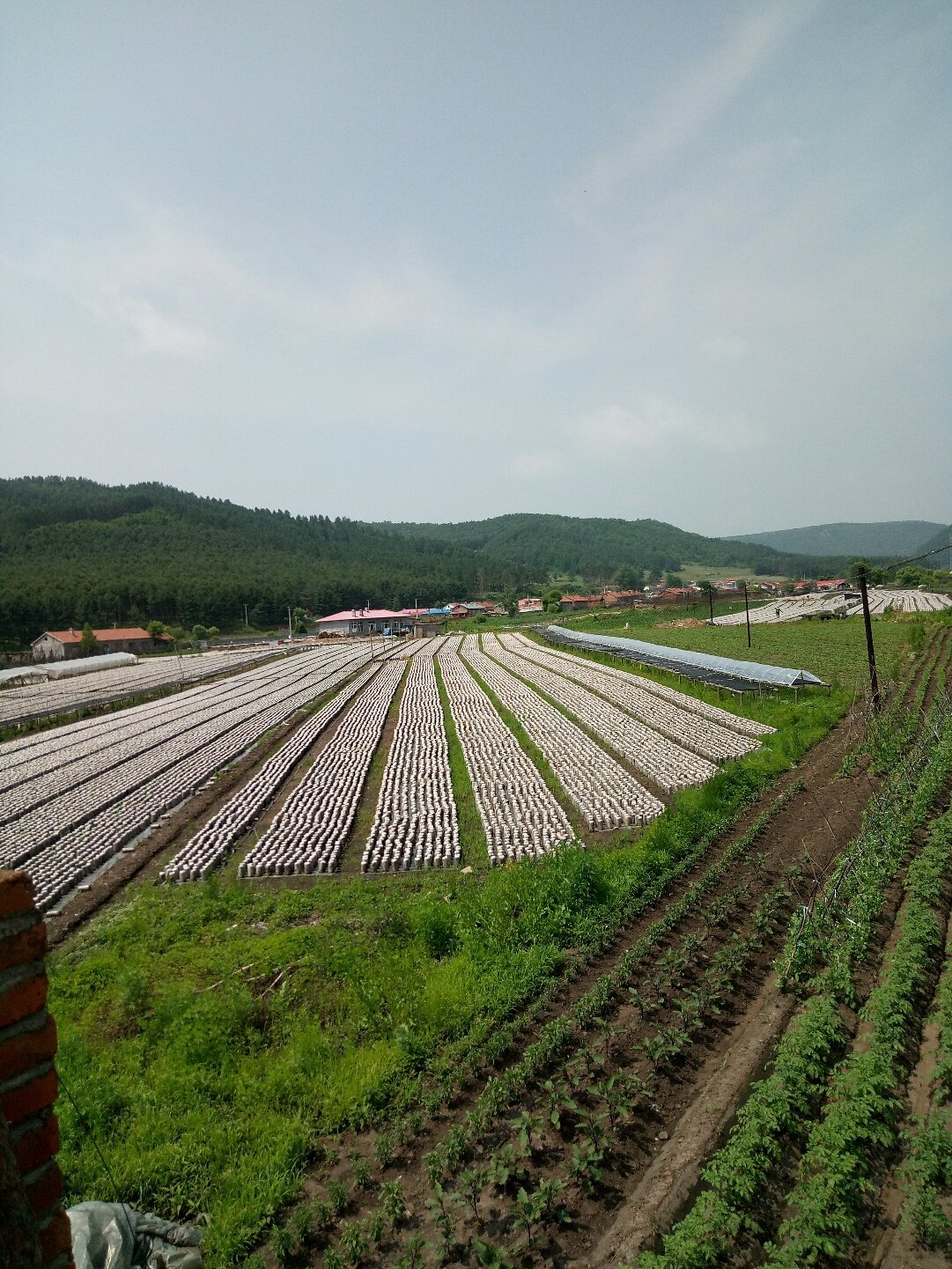 河尾山林场天气预报更新通知