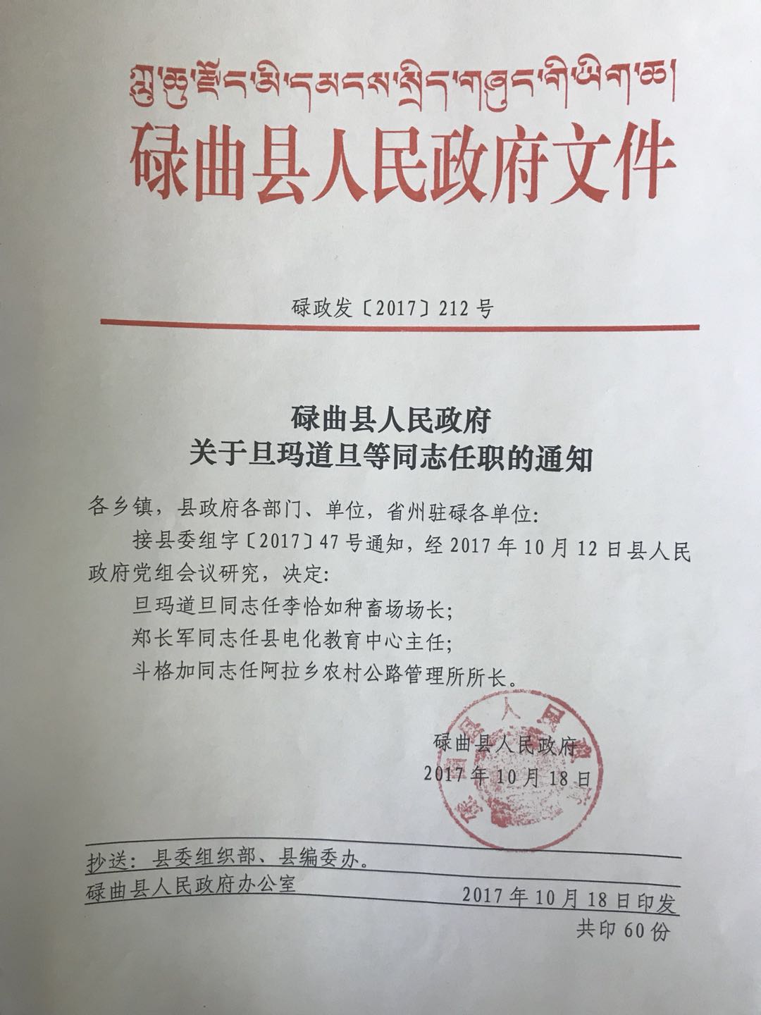 拉孜县人民政府办公室人事任命，构建高效政务体系，开启县域发展新篇章