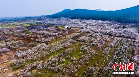 杏山乡最新消息速递