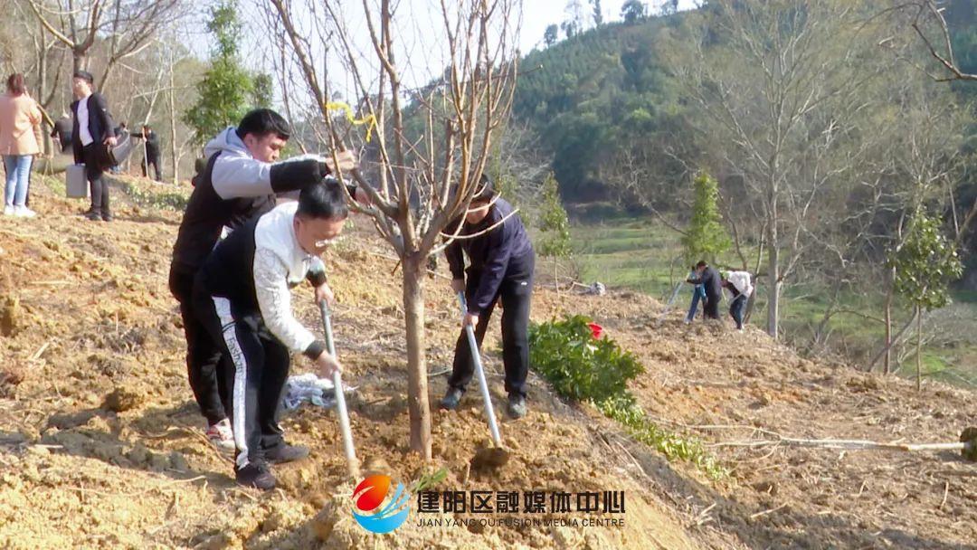 常绿镇领导团队引领未来，塑造新篇章新气象