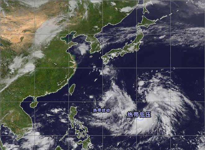 洋胡塘村民委员会最新天气预报