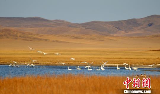 贺斯格乌拉农牧场新任领导引领农场变革，开启发展新篇章