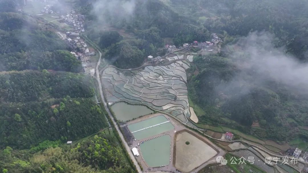 黄荆乡最新项目，乡村璀璨明珠引领发展之路