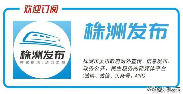 建宁县人民政府办公室最新招聘公告概览