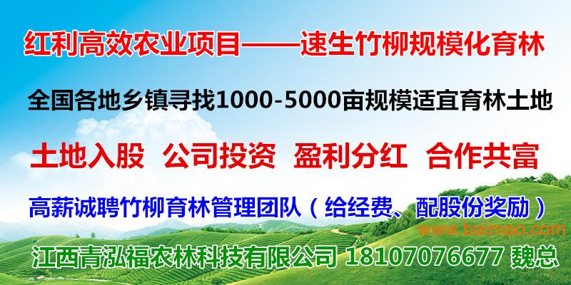 金柳村委会最新招聘信息汇总