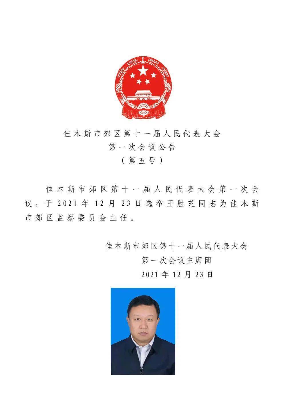 洮北区人民政府办公室人事任命揭晓，开启区域发展新篇章