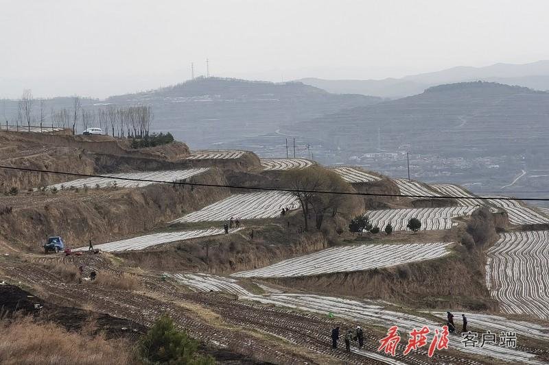 水洛镇新项目，引领地区发展的强大动力源泉