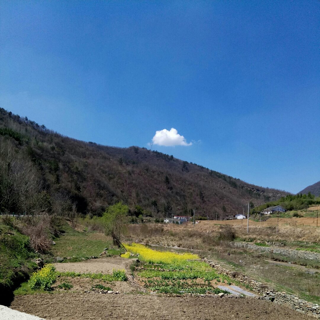 通空村天气预报更新通知