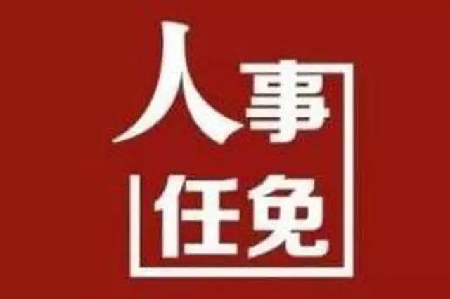 永嘉镇最新招聘信息全面解析