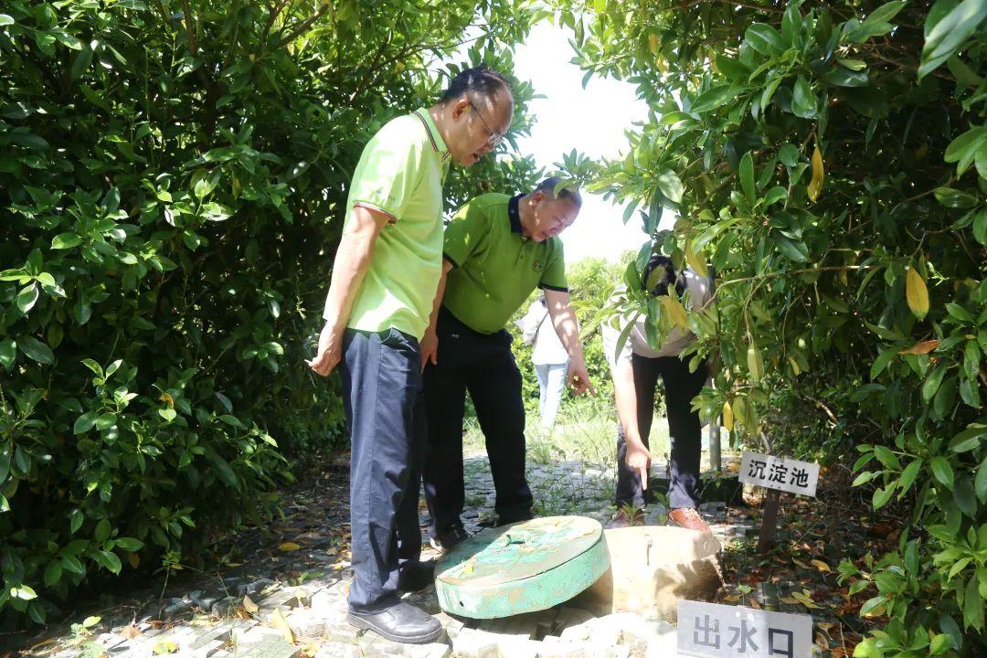 良庆区市场监督管理局新项目推动市场监管现代化，助力经济高质量发展