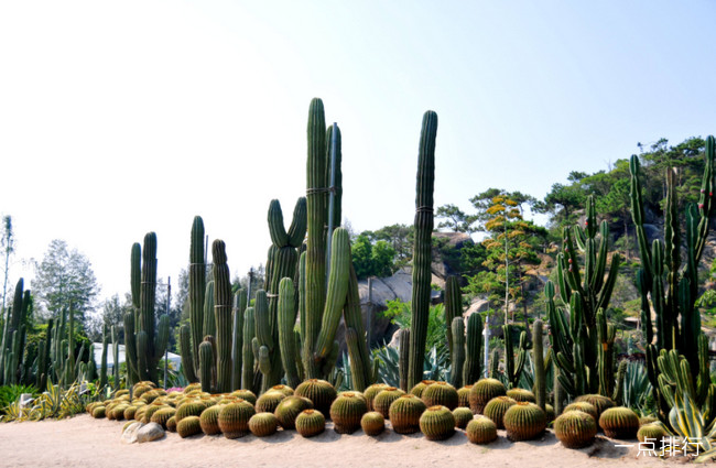 万石植物园展现生态魅力，引领绿色未来最新新闻报道